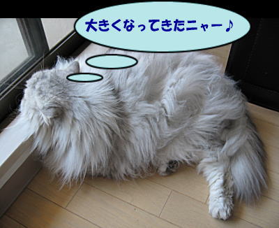 大きくなぁれ♪