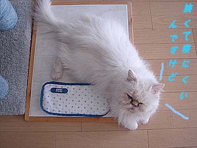やっぱり　じゃま！