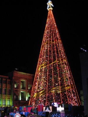 IMG_1599_1.jpg