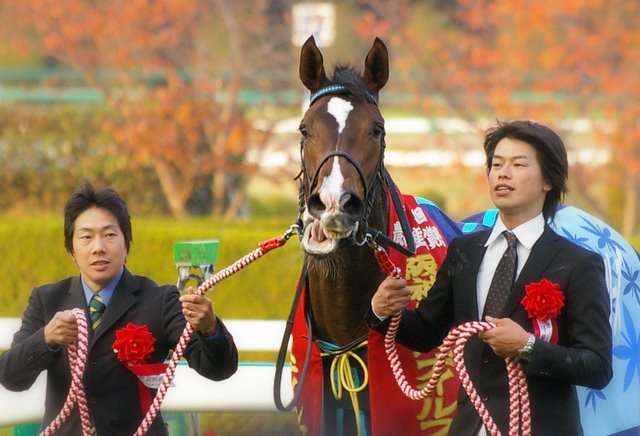 阪神ジュベナイルフィリーズ　トールポピー　表彰式