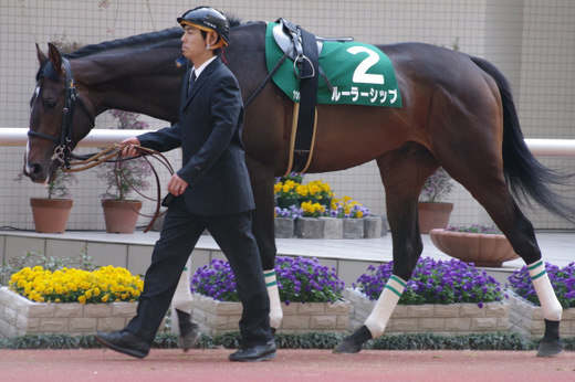 ルーラーシップ