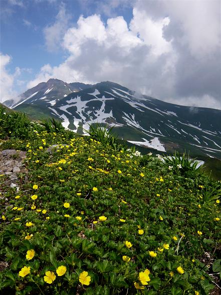 P1010629山.jpg