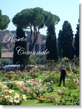 roseto comunale.jpg