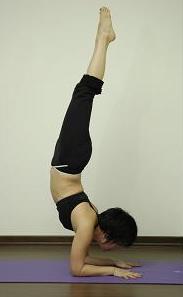 pinca mayurasana