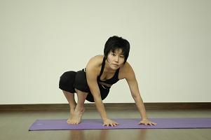 prasarita bakasana 1