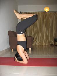 head stand 2