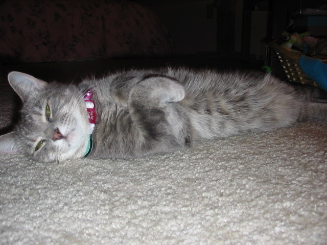 Hana & Charlie 2006 Vacation 027.jpg