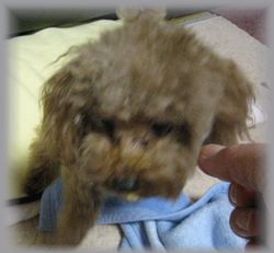 IMG_2298.JPG