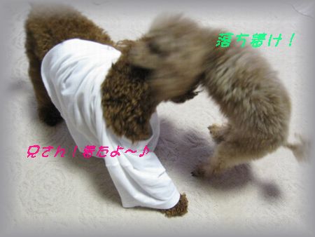 IMG_1792.JPG