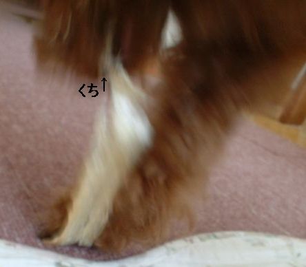 071004おやつ８.jpg