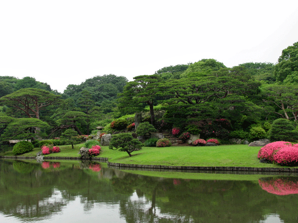 さつき☆文京区六義園