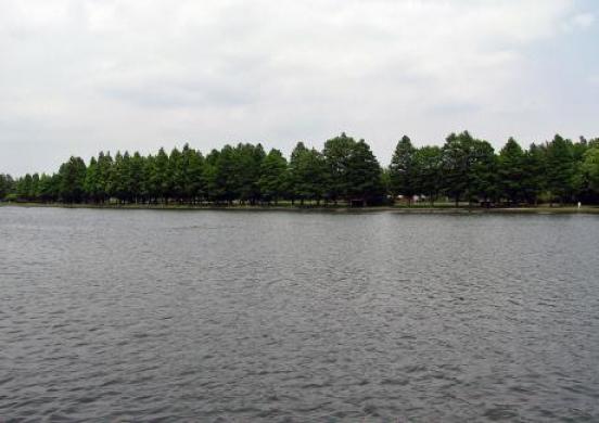 水元公園３.jpg