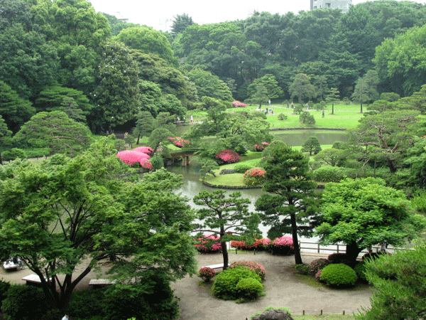 さつき☆文京区六義園