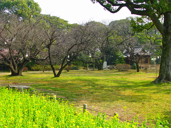 浜離宮☆稲荷神社