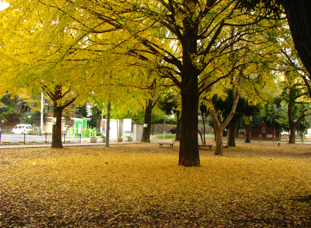 和田堀公園