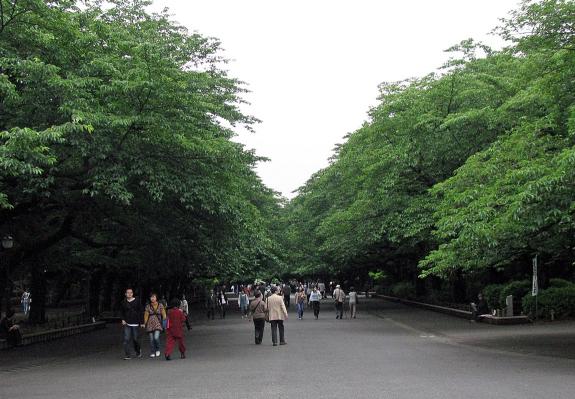 上野恩賜公園葉桜.jpg