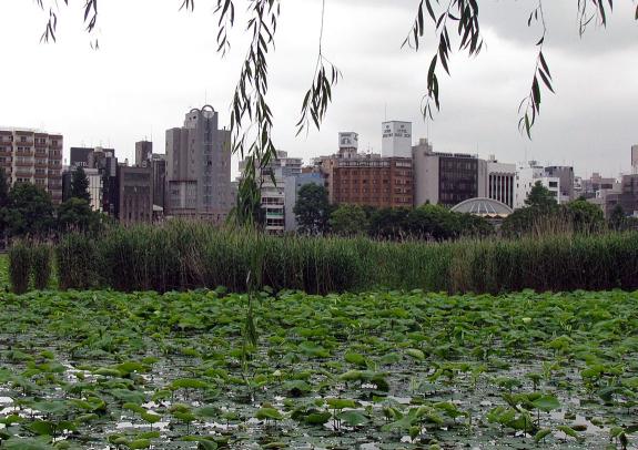 上野恩賜公園３.jpg