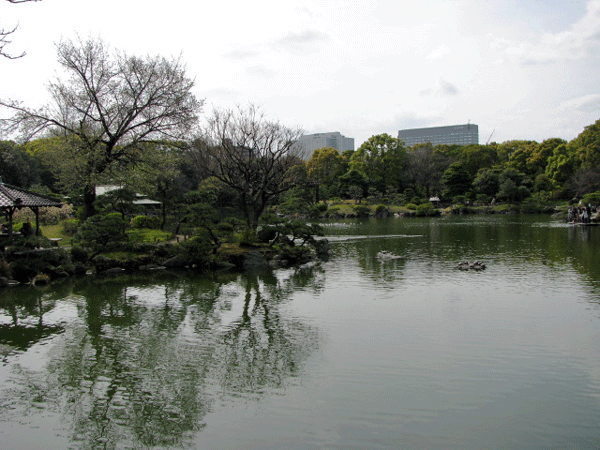 休日の清澄庭園