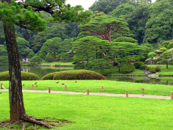 六義園☆文京区本駒込