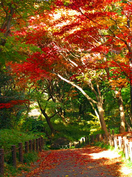 北の丸公園