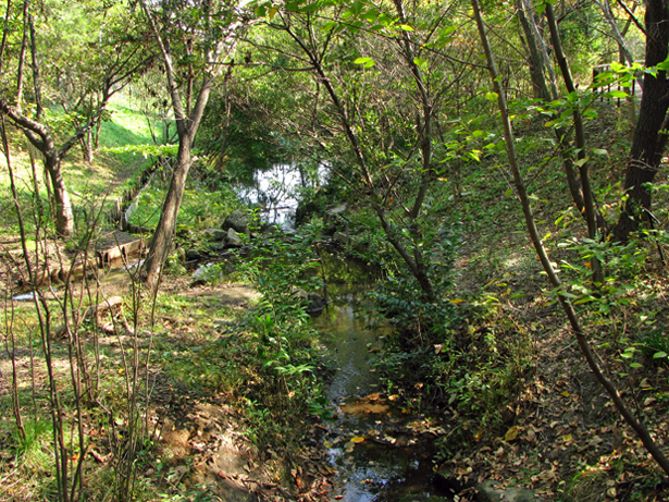 赤羽自然観察公園