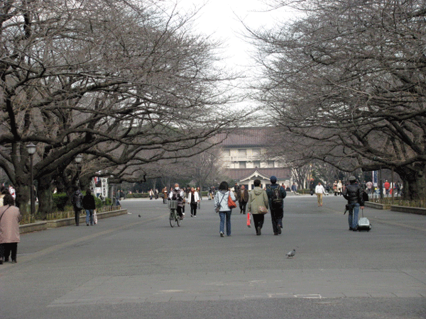 風景