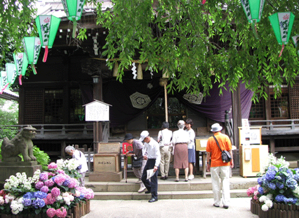 あじさいめぐり白山神社☆文京区白山