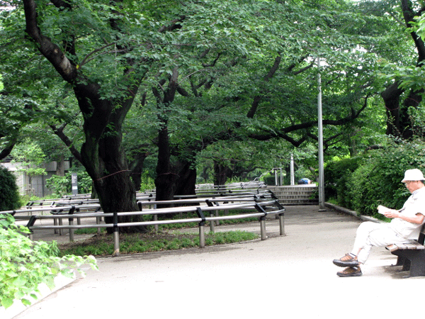 千鳥ｹ淵公園