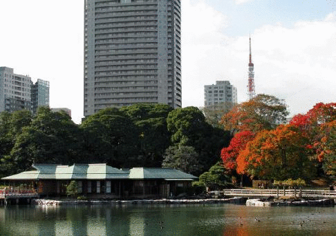 hamarikyu.gif