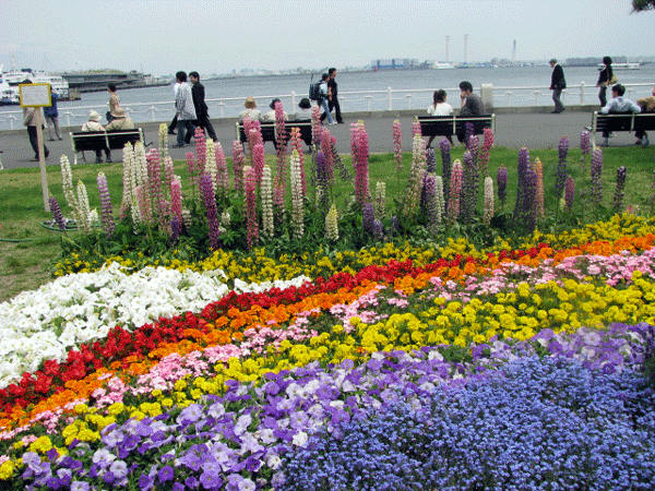 山下公園☆横浜