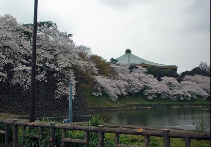 武道館.jpg