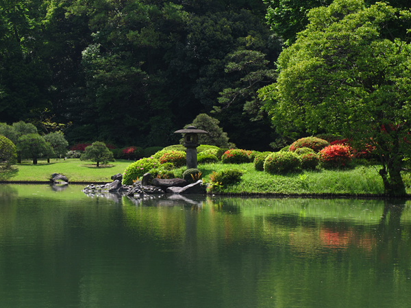 新緑とつつじ☆六義園