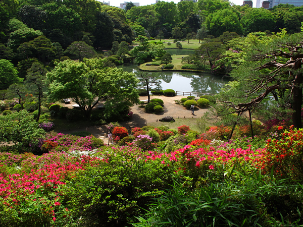 つつじと新緑☆六義園