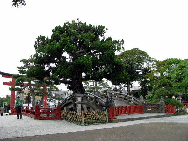 鶴岡八幡宮☆鎌倉市雪ノ下