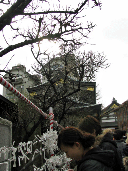 湯島天神　祈り