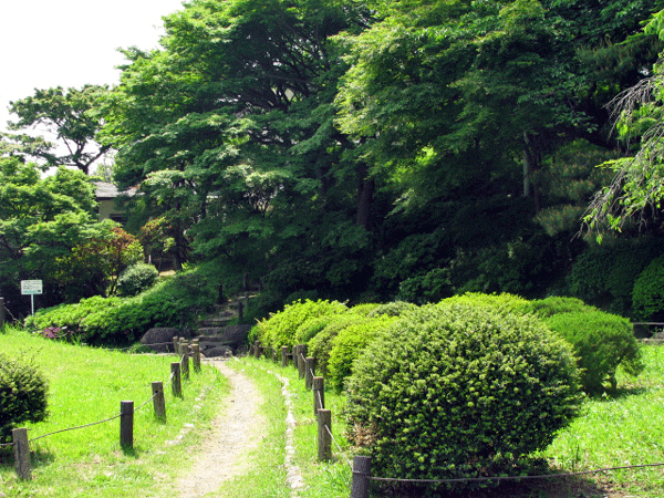 関口台公園