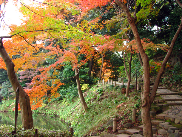 小石川後楽園