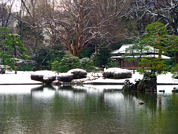 雪景色☆六義園