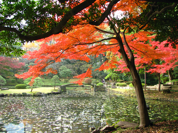 小石川後楽園