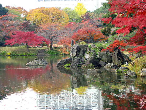 小石川後楽園