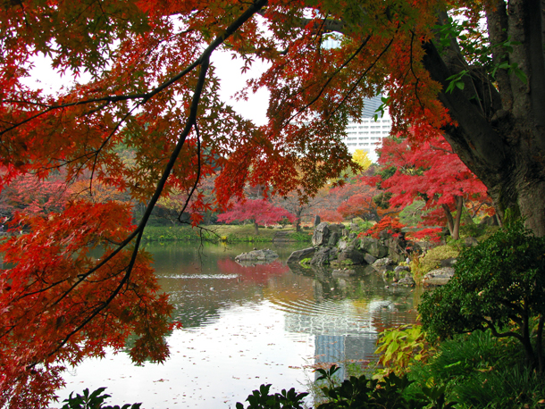 小石川後楽園