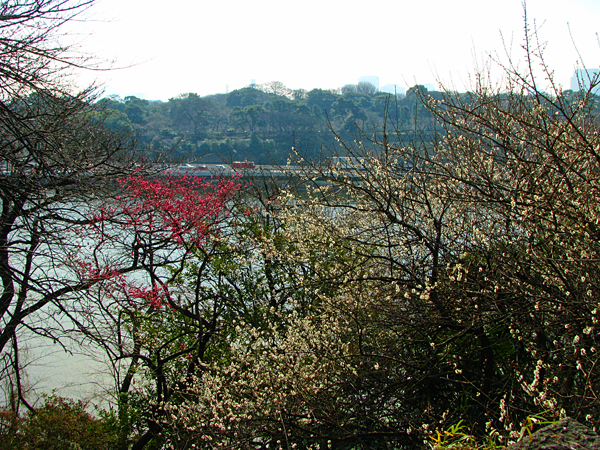 北の丸公園