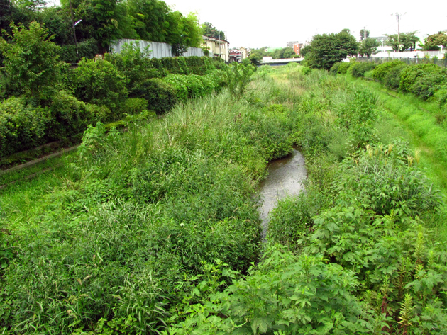 野川☆国分寺崖線