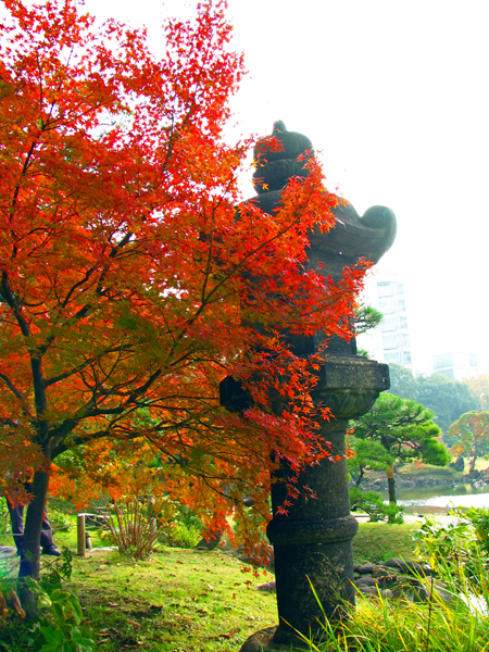 旧芝離宮恩賜庭園