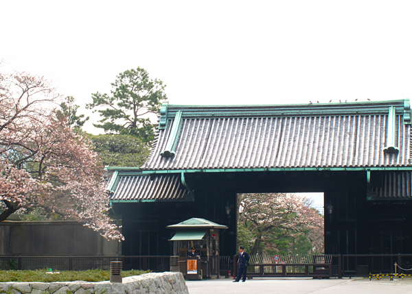 桜☆皇居乾門