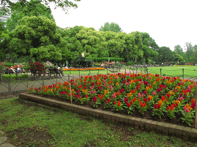 花壇☆日比谷公園