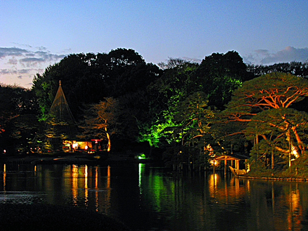 六義園紅葉ライトアップ