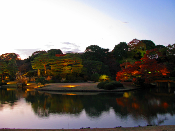 六義園紅葉ライトアップ