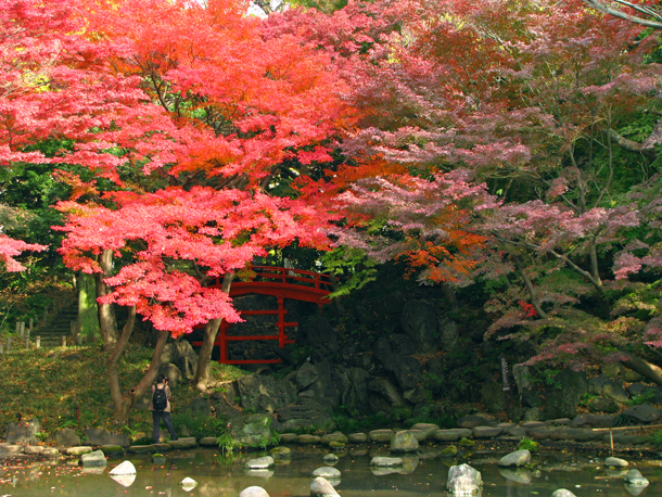 小石川後楽園