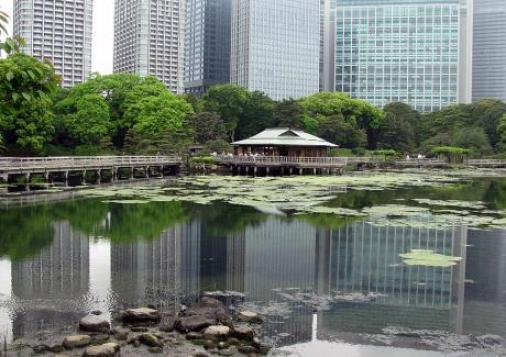 旧浜離宮恩賜庭園＆ビル２.jpg